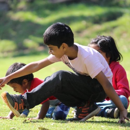 Park-1